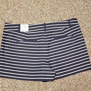 Brand New Ann Taylor Shorts